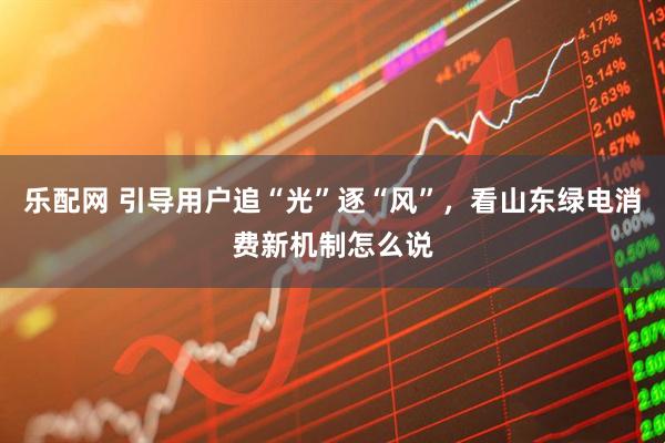 乐配网 引导用户追“光”逐“风”，看山东绿电消费新机制怎么说