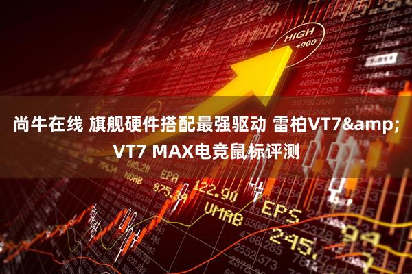 尚牛在线 旗舰硬件搭配最强驱动 雷柏VT7&VT7 MAX电竞鼠标评测