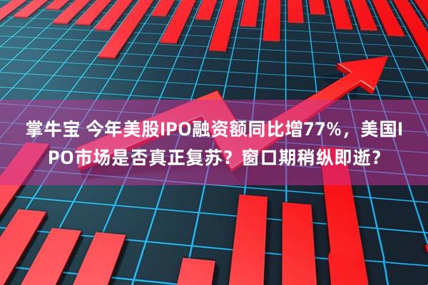 掌牛宝 今年美股IPO融资额同比增77%，美国IPO市场是否真正复苏？窗口期稍纵即逝？