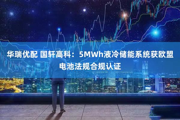 华瑞优配 国轩高科：5MWh液冷储能系统获欧盟电池法规合规认证