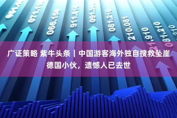 广证策略 紫牛头条｜中国游客海外独自搜救坠崖德国小伙，遗憾人已去世