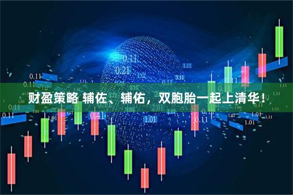 财盈策略 辅佐、辅佑，双胞胎一起上清华！
