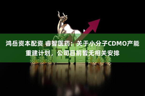 鸿岳资本配资 睿智医药：关于小分子CDMO产能重建计划，公司目前暂无相关安排