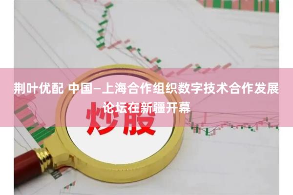 荆叶优配 中国—上海合作组织数字技术合作发展论坛在新疆开幕