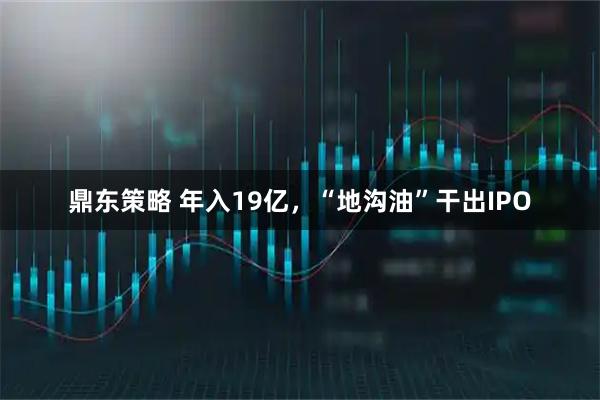 鼎东策略 年入19亿,“地沟油”干出IPO