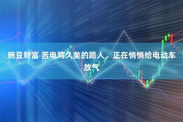 豌豆财富 苦电鸡久矣的路人,正在悄悄给电动车放气